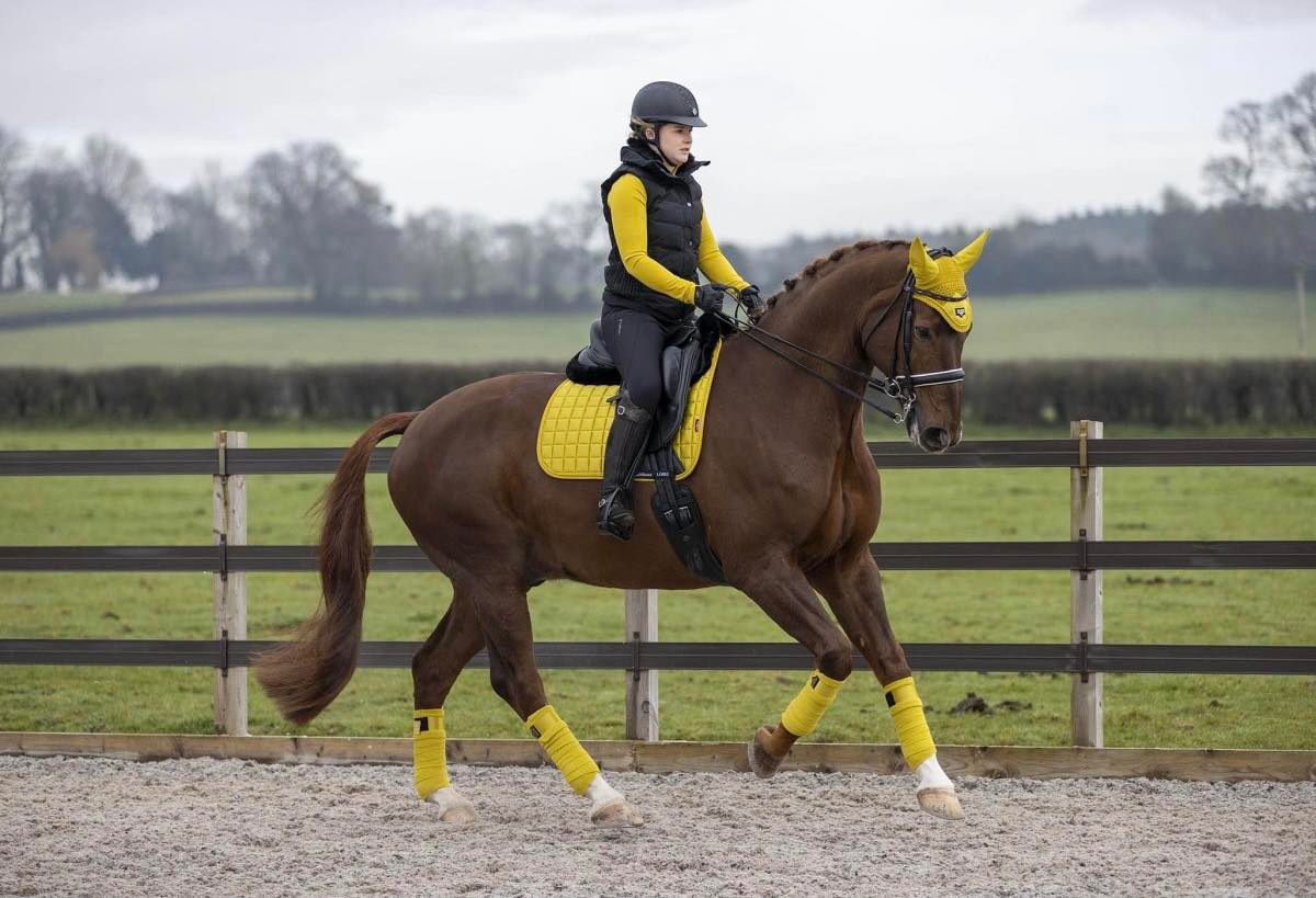 The Importance of Fitness as a Beginner Equestrian